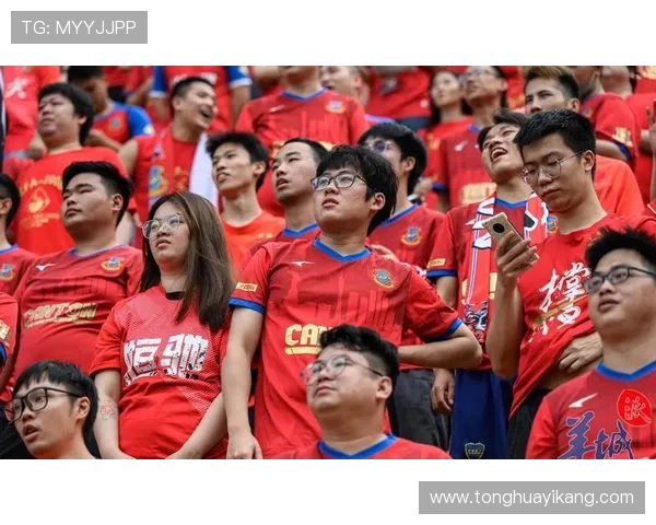 足球赛事中的球迷行为与球场氛围