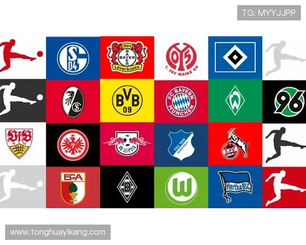 从未降级的德甲球队有哪些？联赛稳定性分析